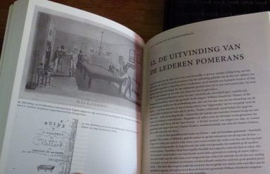 Livre – Zoektocht naar François Mingaud – Cees Sprangers