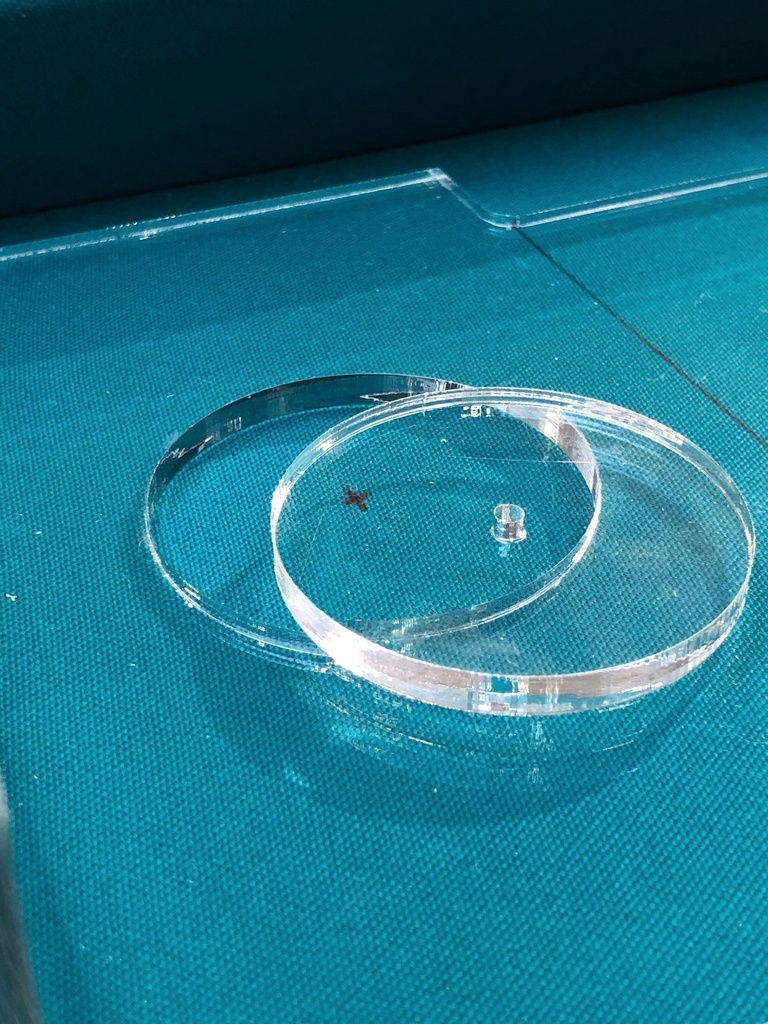 Support Plexi pour Aquits - Image 6