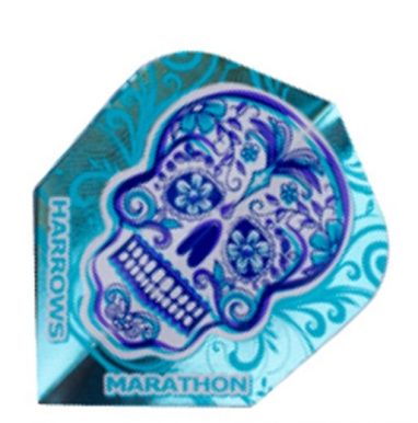 Flight Marathon 1513 – Rio Skull