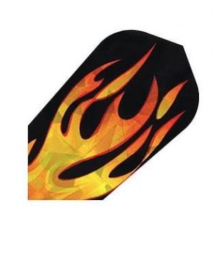 Flight Hologram 1645 – Slim Flames